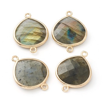 Labradorite Links Connectors, with Golden Tone Brass Findings, Faceted Teardrop, 24x18x5.5mm, Hole: 1.6mm