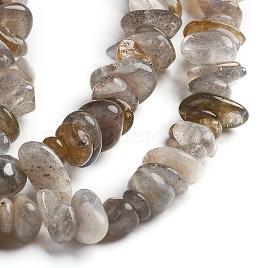 Natural Labradorite Chips Beads Strands(G-D0002-A06)-3