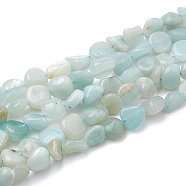 Natural Amazonite Beads Strands, Tumbled Stone, Nuggets, 3~14x2~9x2.5~8mm, Hole: 1mm, about 50~55pcs/strand, 15.94 inch(G-S340-14)