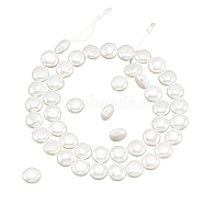 1 Strand Electroplated Shell Pearl Beads Strands, Polished, Flat Round, White, 9.5~10x5~5.5mm, Hole: 1mm, about 41pcs/strand, 16.14 inch(41cm)(BSHE-NB0001-20)