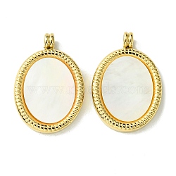 Ion Plating(IP) 304 Stainless Steel Pave Shell Pendants, Oval Charms, Real 14K Gold Plated, 22.5x15x2.5mm, Hole: 2.5mm(FIND-Z028-19G)