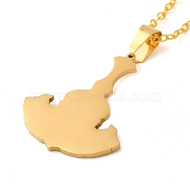 201 Stainless Steel Pendant Necklaces(NJEW-G118-04G)-2