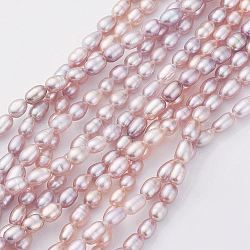Natural Cultured Freshwater Pearl Beads Strands, Rice, Misty Rose, 5.5~7x3.5~4.5mm, Hole: 0.5mm, about 53~64pcs/strand, 14.3 inch(36.5cm)(PEAR-G007-01-01)