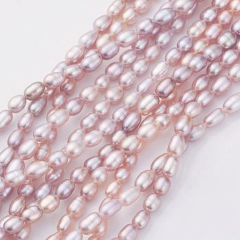 Natural Cultured Freshwater Pearl Beads Strands, Rice, Misty Rose, 5.5~7x3.5~4.5mm, Hole: 0.5mm, about 53~64pcs/strand, 14.3 inch(36.5cm)