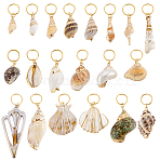 20Pcs 20 Styles Electroplate Natural Shell Braiding Hair Pendants Decoration Clips, with 304 Stainless Steel Jump Rings, Golden, 32~65mm, 1pc/style(OHAR-GA00001)