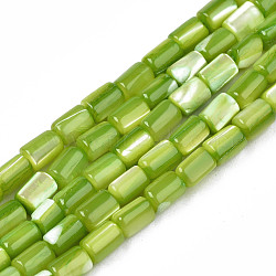Natural Trochid Shell/Trochus Shell Beads Strands, Dyed, Column, Yellow Green, 4~5x3~3.5mm, Hole: 0.9mm, about 77~78pcs/strand, 15.55 inch~15.75 inch(39.5~40cm)(SHEL-N003-26-B07)