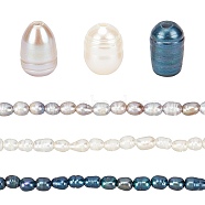 SUNNYCLUE 120Pcs 3 Colors Large Hole Pearl Beads, Natural Cultured Freshwater Pearl Loose Beads, Dyed, Oval, Mixed Color, 7~10x7~8mm, Hole: 1.8mm, 40pcs/color(PEAR-SC0001-08)