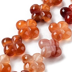 Natural Red Agate Beads Strands, 4-Petal Flower, 14x14x5.5mm, Hole: 1.2mm, about 15pcs/strand, 7.87''(20cm)(G-P520-A06-01)