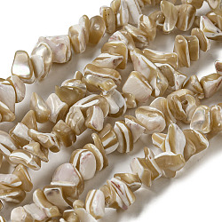 Natural Trochus Shell Beads Strands, Nuggets, Tan, 3~10x7~25x4~10mm, Hole: 0.6~1mm, about 180pcs/strand, 29.92~30.71''(76~78cm)(SSHEL-H072-09)