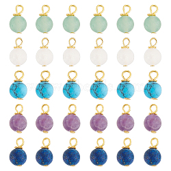 60Pcs Frosted Natural & Synthetic Gemstone Charms, with Golden Tone Alloy & Iron Findings, Mixed Dyed and Undyed, Round, 13.5x8mm, Hole: 3mm(FIND-FH0004-55)