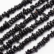 Natural Black Spinel Bead Strands, Chips, 4~12x4~12mm, Hole: 1mm, about 15.74 inch(G-L459-35)