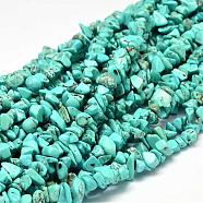 Dyed Natural Howlite Chips Beads Strands, Dark Turquoise, 5~14x5~10mm, Hole: 1mm, about 33.85 inch(G-L454-06)