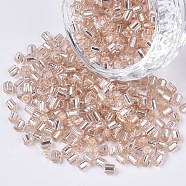 6/0 Glass Bugle Beads, Silver Lined, Misty Rose, 3.5~5x3.5~4mm, Hole: 1mm, about 4500pcs/bag(SEED-S032-04B-07)