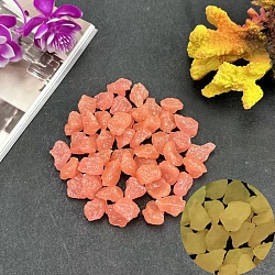 Plastic Imitation Luminous Stone Display Decoration, Nuggest, Coral, 20mm(PW-WG75281-05)