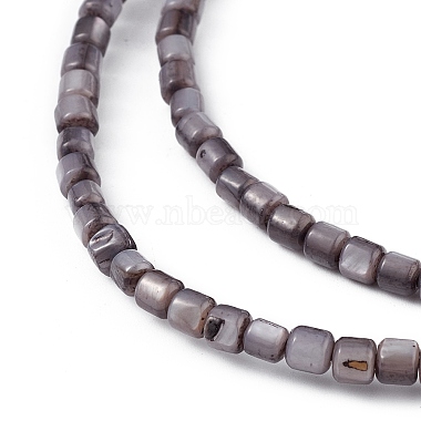 Natural Freshwater Shell Dyed Beads Strands(SHEL-M018-14-01)-3