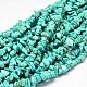 Dyed Natural Magnesite Chips Beads Strands(G-L454-06)-1
