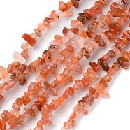 Natural Carnelian Beads Strands, Chip, 1.5~4.5x3~13x2.5~8mm, Hole: 0.6mm, 30.94~31.97 inch(78.6~81.2cm)(G-G0003-B18)
