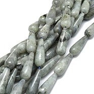 Natural Labradorite Beads Strands, Waterdrop, 30x10mm, Hole: 1.4mm, about 13pcs/strand, 15.75''(40cm)(G-E576-41)