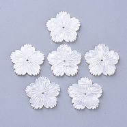 Cellulose Acetate(Resin) Beads, Flower, Creamy White, 26.5x27.5x3mm, Hole: 1.5mm(KY-N006-01A-B02)