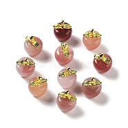 Natural Agate Pendants, Fruit Charms, Golden, Apple, 16~16.5x12x12mm, Hole: 4x2.3mm(G-Z052-04A)