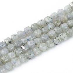 Natural Labradorite Beads Strands, Faceted, Cube, 6~6.5x6~6.5x6.5mm, Hole: 1mm, about 62pcs/strand, 14.8 inch(37.6cm)(X-G-I270-04)