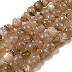 Natural White Shell Dyed Beads Strands, Nuggets, Camel, 2.5~3.5x3~3.5x2~3.5mm, Hole: 0.4mm, about 139pcs/strand, 15.16''(38.5cm)(BSHE-Z005-03A)