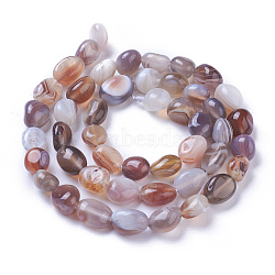 Natural Botswana Agate Beads Strands, Tumbled Stone, Nuggets, 7~11x7~8mm, Hole: 1mm, about 47~48pcs/strand, 15.94 inch(40.5cm)(X-G-P433-20)