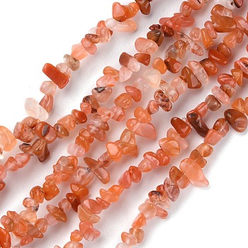 Natural Carnelian Beads Strands, Chip, 1.5~4.5x3~13x2.5~8mm, Hole: 0.6mm, 30.94~31.97 inch(78.6~81.2cm)