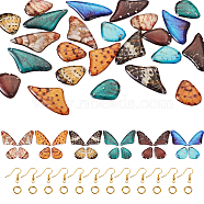 Pandahall DIY Butterfly Wing Earring Making Kit, Including Epoxy Resin Pendants, Brass Earring Hooks & Jump Rings, Mixed Color, 74Pcs/box(DIY-TA0005-14)