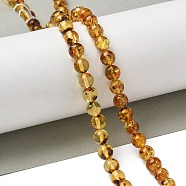 Natural Amber Beads Strands, Round, 6mm, Hole: 1mm, about 63pcs/strand, 14.88''(37.8cm)(G-K387-D02-01)