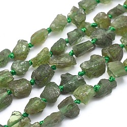 Natural Peridot Beads Strands, Chip, 5~10x2~8mm, Hole: 0.5mm; about 16.1inches(41cm)
(G-I213-38)