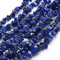 Natural Lapis Lazuli Beads Strands, Grade A, Chip, 5~8mm, Hole: 1mm, about 33 inch(84cm)(G-P332-50)