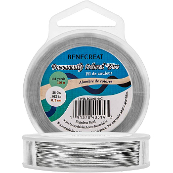 304 Stainless Steel Wire, Light Grey, 0.3mm, about 393.7 Feet(120m)/roll