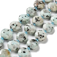 Natural Sesame Jasper/Kiwi Jasper Beads Strands, with Seed Beads, Faceted Hexagonal Cut, Flat Round, 12~12.5x5~6mm, Hole: 1.2~1.4mm, about 27~29pcs/strand, 15.55~15.75 inck(39.5~40cm)(G-NH0004-013)