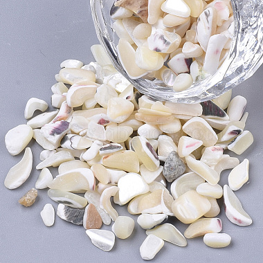 Sea Shell Beads(SSHEL-S258-70)-3