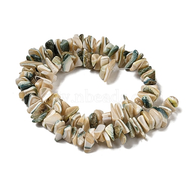 Natural Seashell Shell Beads Strands(SSHEL-H072-07)-2