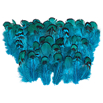 Peacork Feather Ornaments for Kindergarten DIY Crafts, Party Decoration, Woven Net/Web Supplies, Turquoise, 62~110x35~50x1mm(AJEW-WH0596-800A)