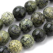 Natural Serpentine/Green Lace Stone Beads Strands, Round, 10mm, Hole: 1mm, about 36pcs/strand, 15 inch(G-S259-15-10mm)