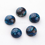 Natural Chrysocolla Cabochons, Half Round/Dome, 8x4mm(G-D804-03)