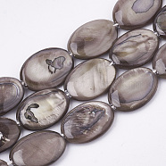 Freshwater Shell Beads Strands, Dyed, Oval, Rosy Brown, 17.5~18x12~13x3mm, Hole: 1mm, about 23pcs/strand, 16.3 inch(X-SHEL-S274-37A)