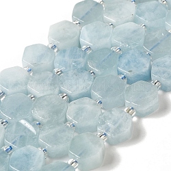 Natural Aquamarine Beads Strands, Hexagon, with Seed Beads, 8.5~9x8.5~10x4~5mm, Hole: 1mm, about 17~18pcs/strand, 7.48''(19cm)(G-P534-A08-01)
