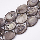 Freshwater Shell Beads Strands(X-SHEL-S274-37A)-1