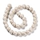 Synthetic Howlite Beads Strands(TURQ-F018-03)-3