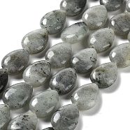 Natural Labradorite Beads Strands, Teardrop, 17.5~18x13x6mm, Hole: 1.2mm, about 22pcs/strand, 15.24 inch(38.7cm)(G-L242-35)