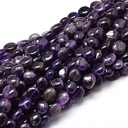 Nuggets Natural Amethyst Beads Strands, Tumbled Stone, 9~12x8~13x5~7mm, Hole: 1mm, about 15.3 inch~15.7 inch(G-J336-12)