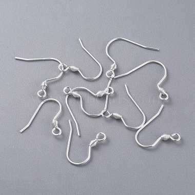 Silver 304 Stainless Steel Earring Hooks