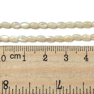 Natural Trochus Shell Beads Strands(SSHEL-H072-02B)-4