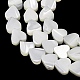 Natural Trochid Shell/Trochus Shell Beads Strands(SH-CBA2978-19A)-2