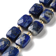 Natural Lapis Lazuli Beads Strands, Faceted, Rectangle, 10x8x4.5mm, Hole: 1mm, about 31pcs/strand, 15.35''(39cm)(G-H061-A07-01)