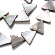 Natural Black Lip Shell Bead Strands, Triangle, Black, 15x17x3mm, Hole: 1mm, about 27pcs/strand, 15.7 inch(SHEL-R018-03)